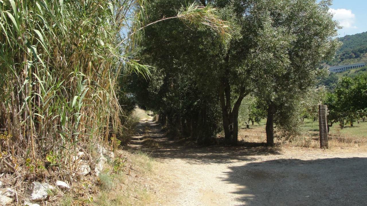 Villa Primaluce Pizzo  Extérieur photo